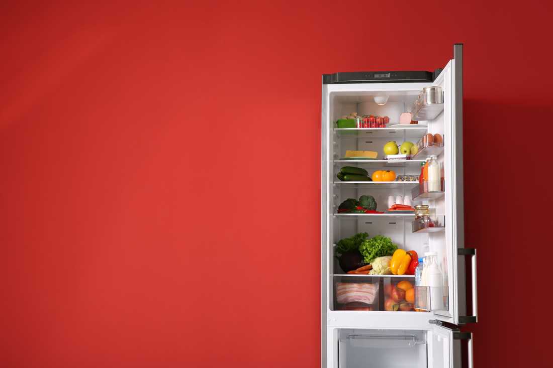 Quel réfrigérateur choisir ?, Les conseils de Murfy